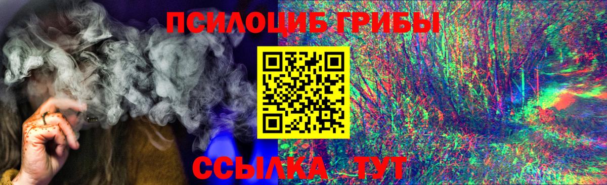 Псилоцибиновые грибы MAGIC MUSHROOMS Черняховск