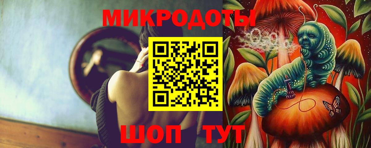 Галлюциногенные грибы Psilocybe  Вход с VPN  Черняховск 